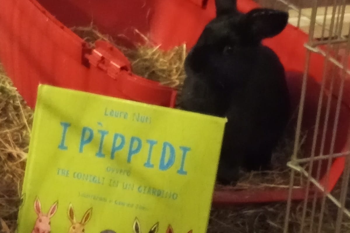 Libro della Settimana e una Splendida Novità!